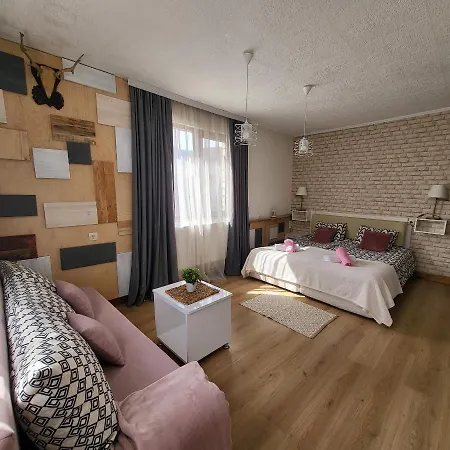 Boina House Гостевой дом Банско