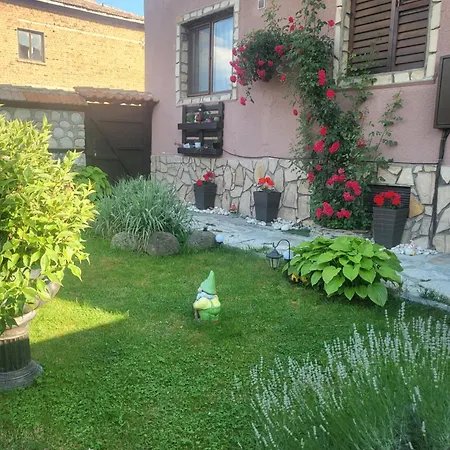 Boina House Gasthof *