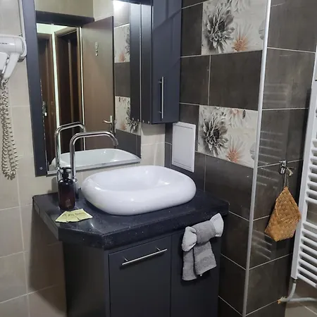 Pensionat Boina House Bansko