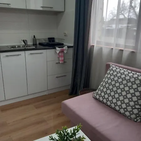 Boina House Къща за гости 3*
