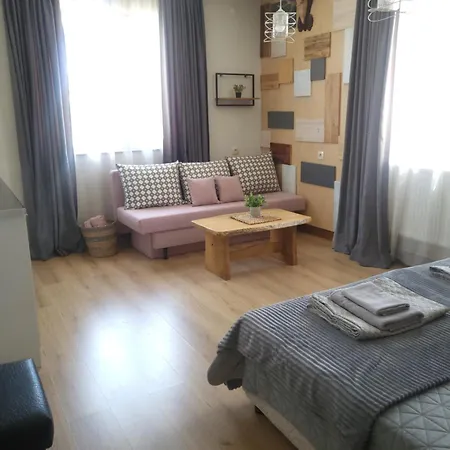 Pensiune Boina House