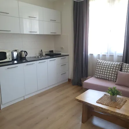 Boina House Pensiune 3*