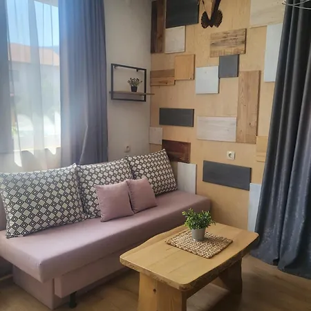 Pensiune Boina House 3*