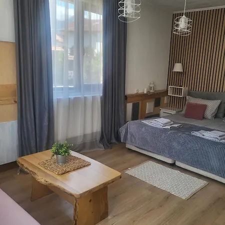 Pensiune Boina House Bansko