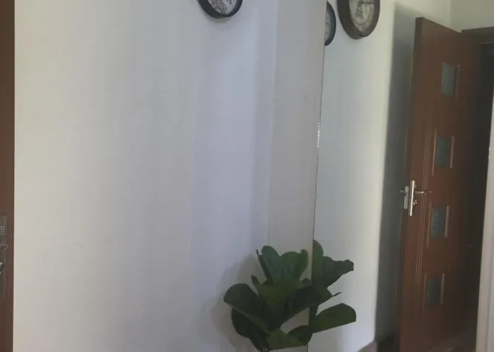 Boina House 3* Banszko